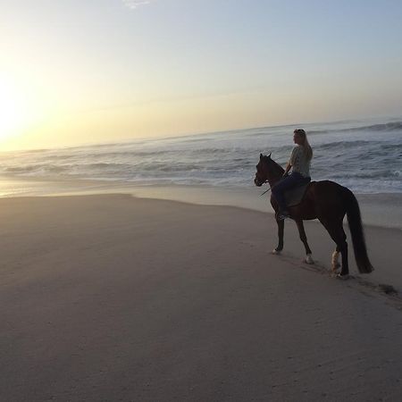 Dakhla Evasion Hotell Eksteriør bilde